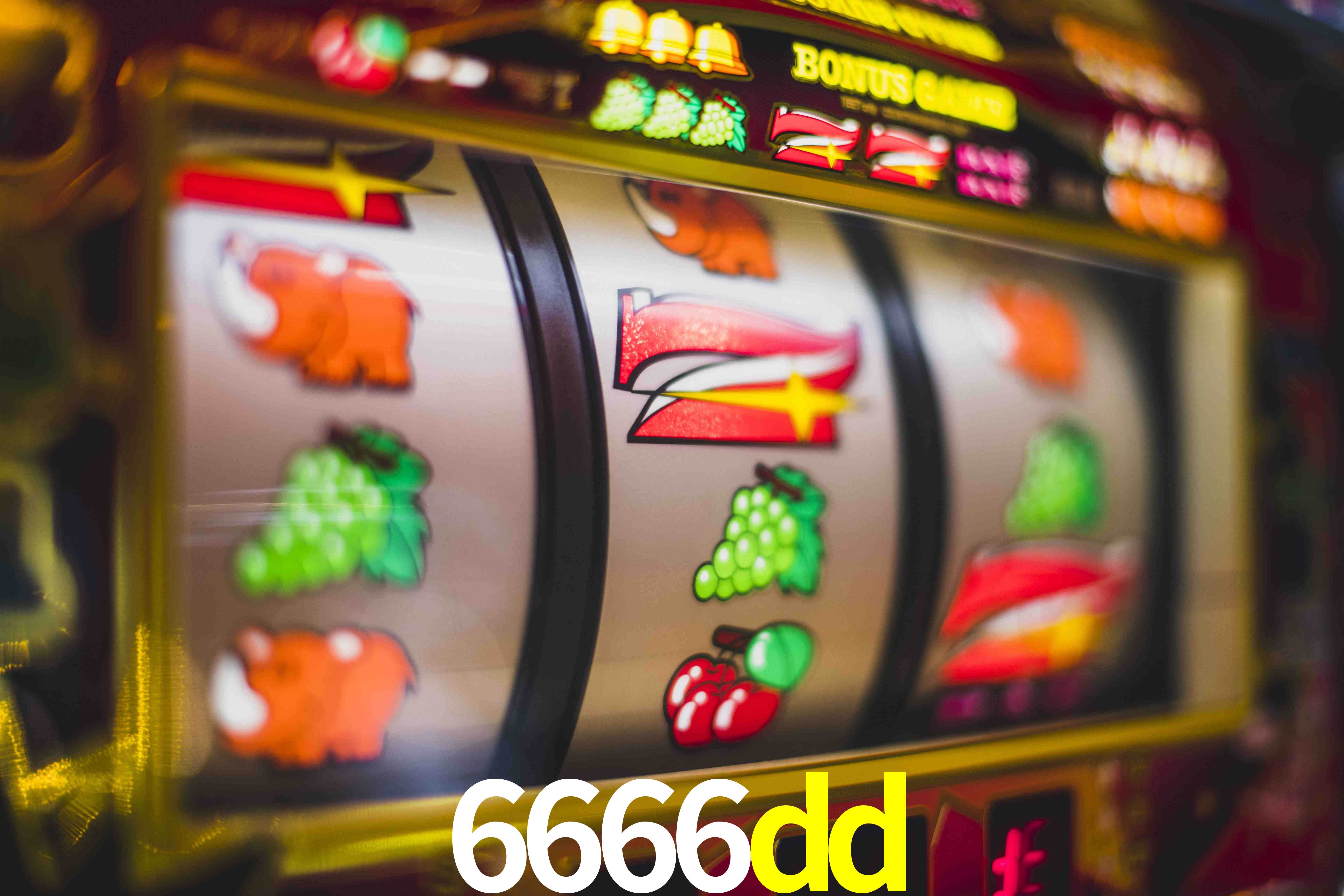 Sports Statistics 6666dd